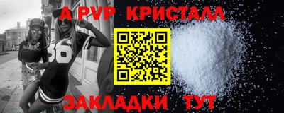 спиды Гатчина