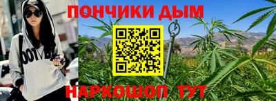 прущие крисы Гай
