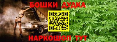 прущие крисы Гай