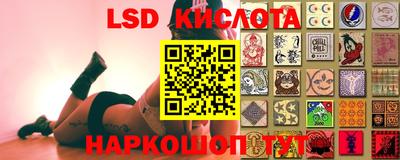 спиды Гатчина