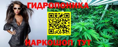 прущие крисы Гай