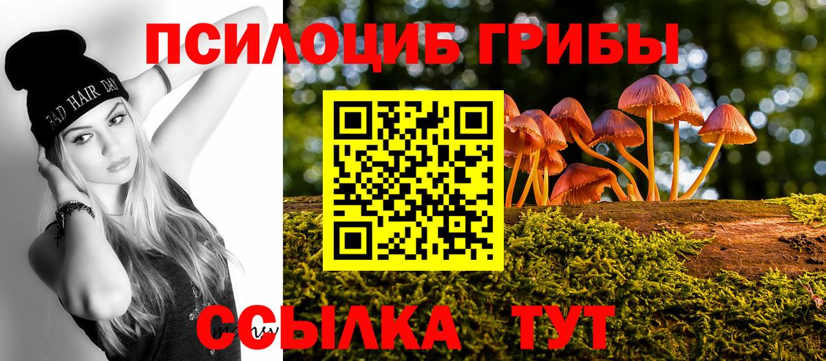 Псилоцибиновые грибы MAGIC MUSHROOMS Приморско-Ахтарск