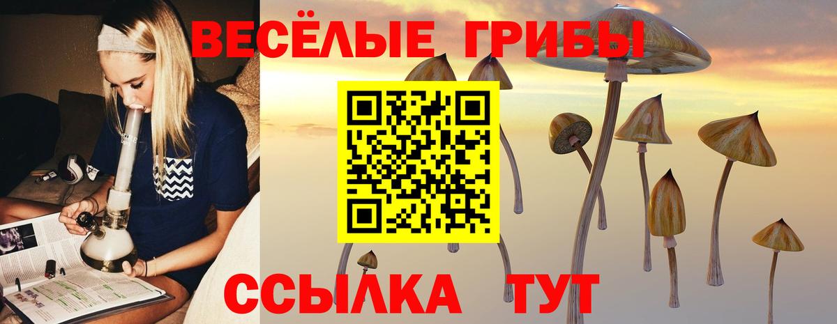 где продают наркотики  Галлюциногенные грибы мухоморы  Приморско-Ахтарск  Вход с VPN  Галлюциногенные грибы мицелий 