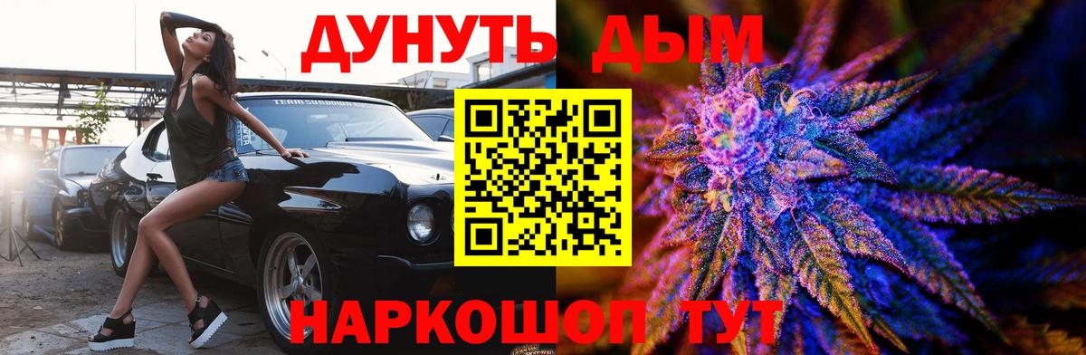 Шишки марихуана конопля Приморско-Ахтарск